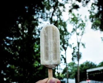 Close-up of hand holding ice cream against trees