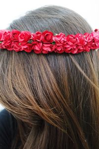 Close-up of red flower