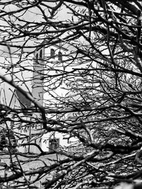 Low angle view of bare tree against sky