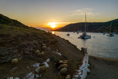 Scenic view of sea against sky during sunset