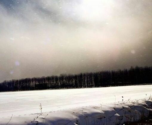 snow, winter, cold temperature, landscape, polar climate, frozen, snowing, no people, tree, bare tree, outdoors, scenics, sky, nature, night