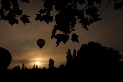 Hot air balloons flying against sky during sunset