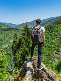 Rear view of man looking at mountains