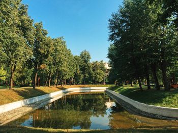 Reflection of trees in swimming pool against clear sky