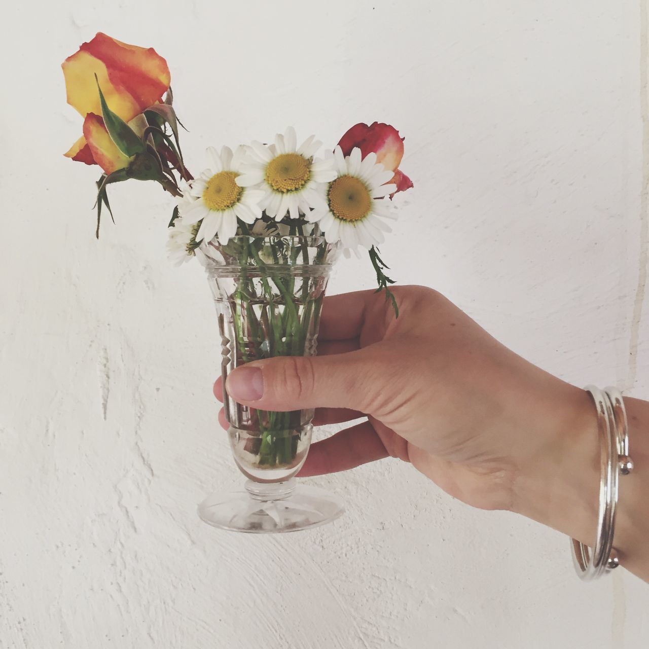 flower, indoors, person, petal, fragility, freshness, vase, holding, wall - building feature, flower head, part of, cropped, close-up, table, stem, wall