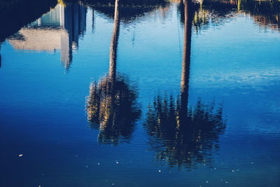 Reflection of trees in water