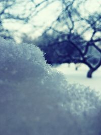 Snow covered landscape