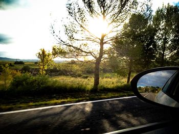 Road passing through trees