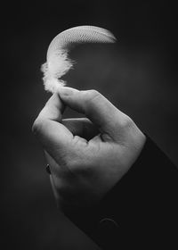 Close-up of hand holding bird against black background