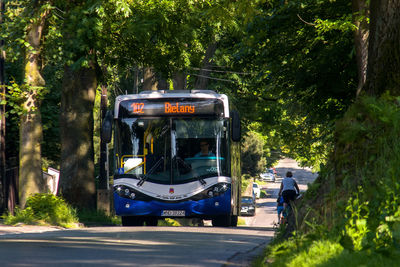 Cars on road against trees