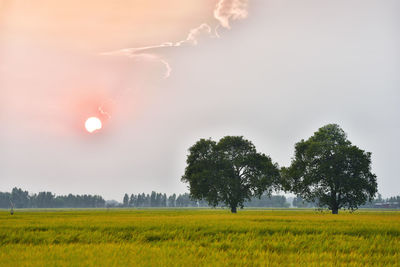 Scenic view of field against sky during sunset