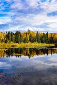 Scenic view of lake in forest against sky