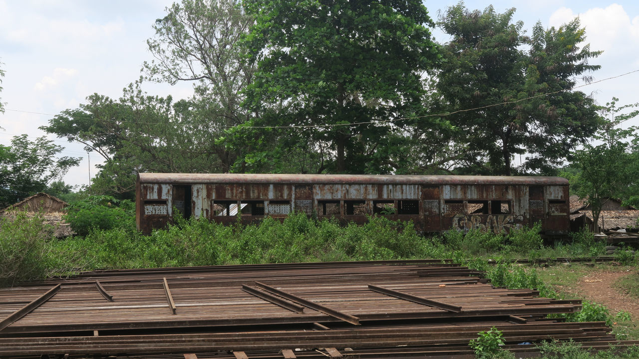 ABANDONED RAILROAD TRACKS AGAINST TREES