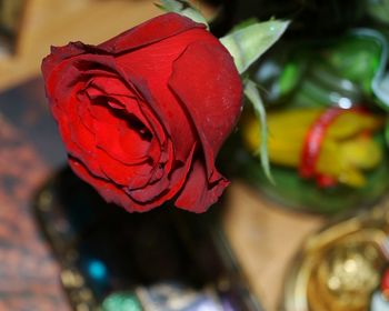 Close-up of red rose