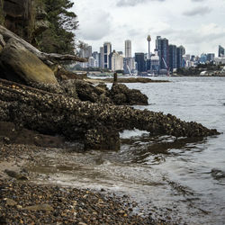 Scenic view of sea by buildings against sky