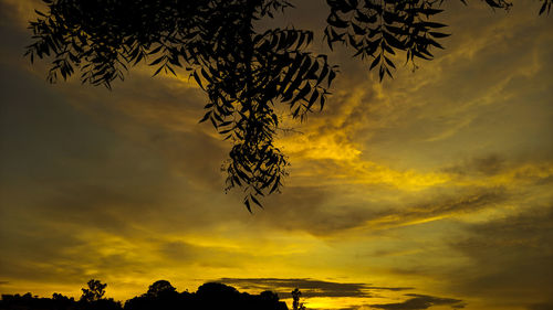 Low angle view of silhouette tree against orange sky