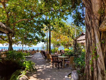 Trees and tables in park