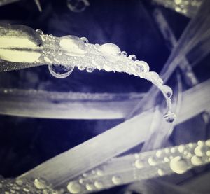 Close-up of water drops on glass