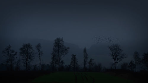 Silhouette trees on field against sky at night