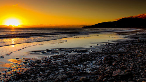 Scenic view of beach during sunset