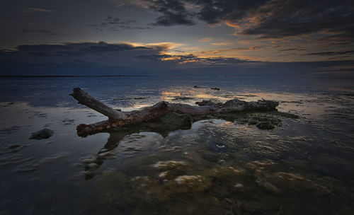 Driftwood on beach against sky during sunset