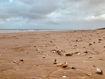 Scenic view of beach against sky