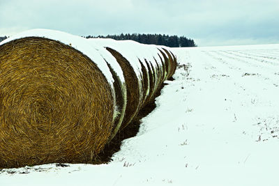 Scenic view of snow covered field