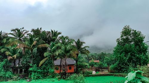 Trees and plants growing on field against sky