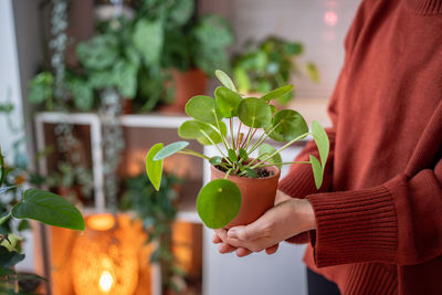 Midsection of woman picking fruit