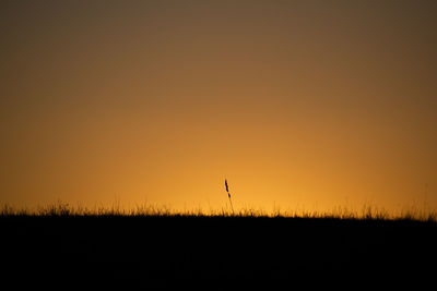 Scenic view of silhouette field against orange sky