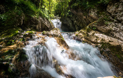 Scenic view of waterfall in forest