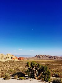 Scenic view of landscape against clear sky