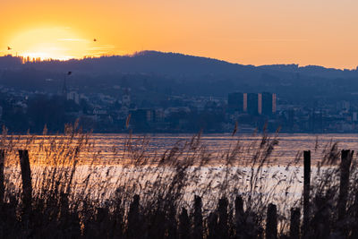 Altenrhein, switzerland, february 9, 2022 terrific sunset at the lake of constance