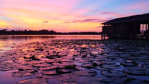 View of calm lake at sunset