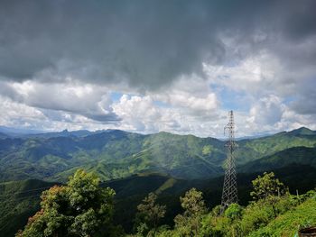 Scenic view of forest against sky