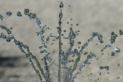 Close-up of water drops on leaf