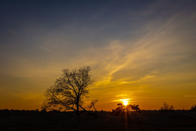 Silhouette bare tree on field against romantic sky at sunset