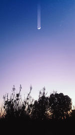 Low angle view of silhouette trees against clear sky at night