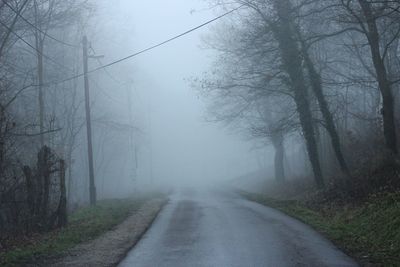 Road passing through forest