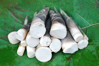 Close-up of food on plant