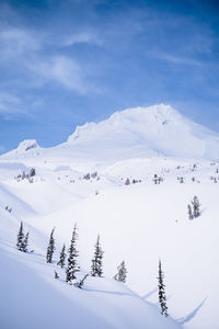 Scenic view of snow covered mountains