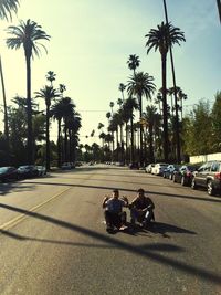 Palm trees on road