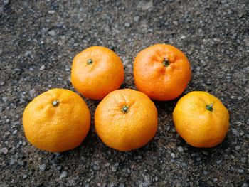 Directly above shot of orange oranges