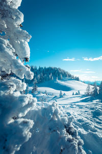 Snow covered landscape against blue sky