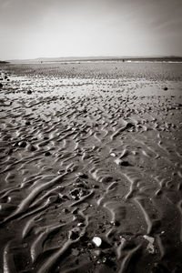 Close-up of shore against clear sky