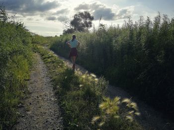 Rear view of person on footpath by trees against sky