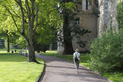 Rear view of man walking amidst trees in city