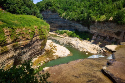 High angle view of river amidst trees