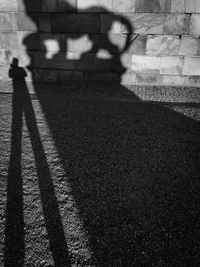 Shadow of people walking on railroad tracks