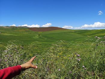 Scenic view of field against sky